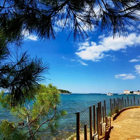 In The Heart Of - 50m To The