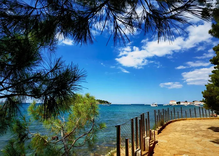 In The Heart Of - 50m To The